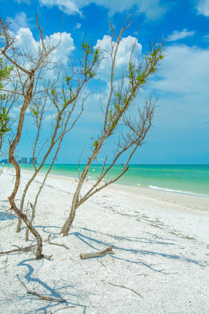 Tigertail Beach at Marco Island, Floridaの写真素材