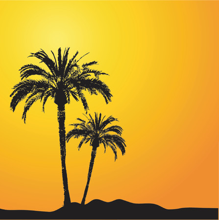 Palm trees - vectorのイラスト素材
