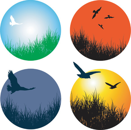 Landscapes with birds - vectorのイラスト素材