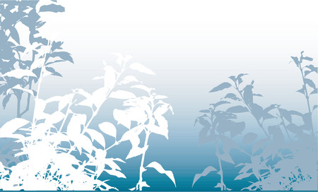 Foliage background - vectorのイラスト素材