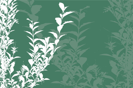 Foliage background - vectorのイラスト素材
