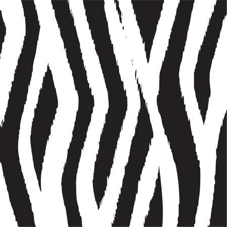 Zebra fur background - vectorのイラスト素材