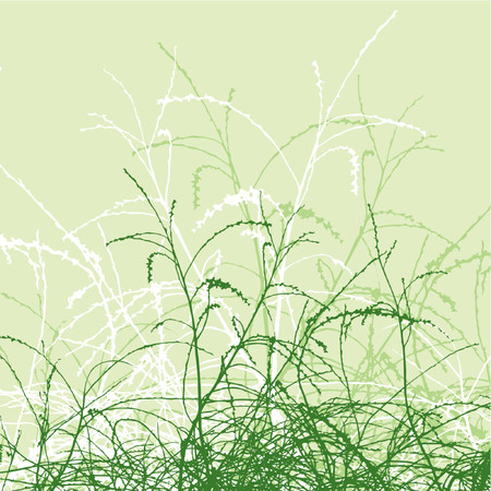 Foliage background - vectorのイラスト素材