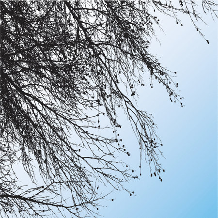 Tree branches - vectorのイラスト素材
