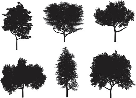 Detailed tree silhouettes - vectorのイラスト素材