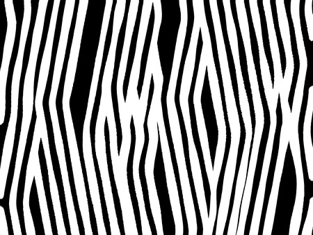 Zebra print backgroundのイラスト素材