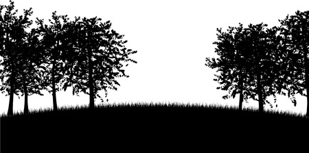 Silhouettes of trees のイラスト素材