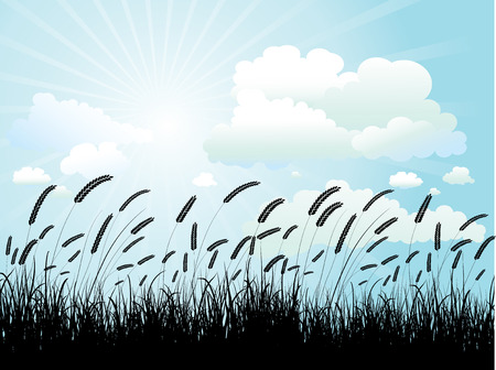 Silhouette of wheat against a blue skyのイラスト素材