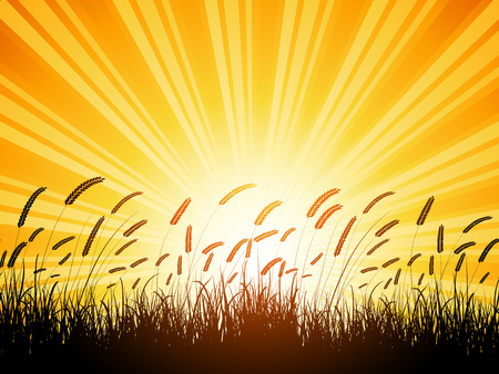 Silhouette of wheat against a sunset skyのイラスト素材