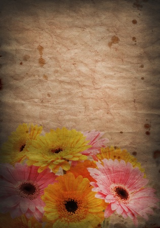 Grunge style background with image of Gerbera daisiesの写真素材