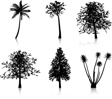 Collection of six different tree silhouettesのイラスト素材