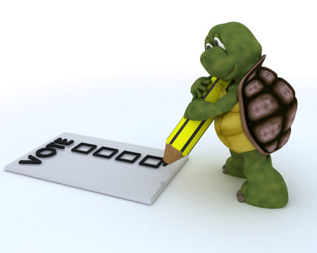 3D render of a tortoise casting a vote in electionの写真素材