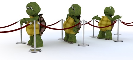 3D render of tortoises waiting in lineの写真素材