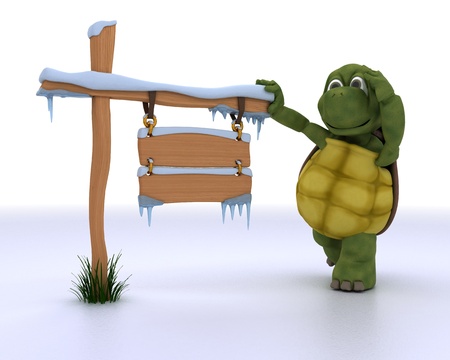 3d render of a tortoise with a frozen blank road signの写真素材