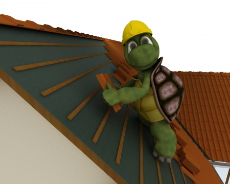3D render of a tortoise roofing contractorの写真素材