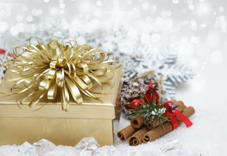Christmas background with gift and cinammon stick nestled in iceの写真素材
