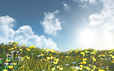 3D render of a landscape of buttercups and daisies against a sunny blue skyの写真素材