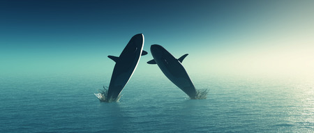 3D render of two whales jumping in the seaの写真素材
