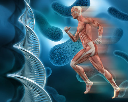 3D male medical figure with muscle map on an abstract virus background with DNA strandsの写真素材