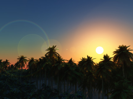 3D render of a palm tree landscape at sunsetの写真素材
