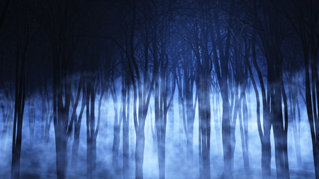 3D render of a spooky foggy forestの写真素材