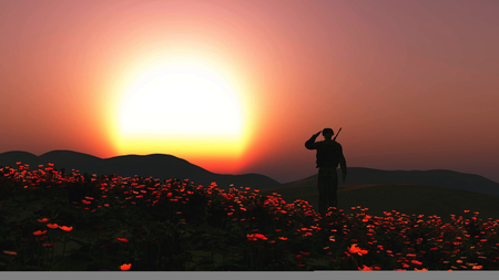 3D render of a soldier saluting in a field of poppiesの写真素材