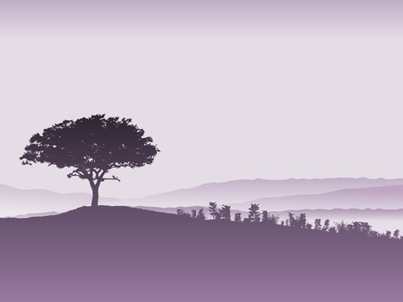 Silhouette of a tree landscapeの写真素材