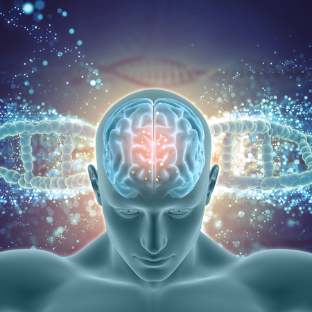 3D render of a medical background with male figure with brain highlighted on DNA strandsの写真素材