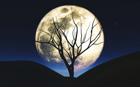 3D render of a Halloween background with tree silhouetted against the moonの写真素材