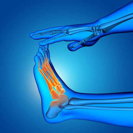 3D render of a male medical figure with close up of foot with bones highlightedの写真素材