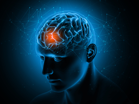 3D render of a medical background with brain highlightedの写真素材