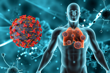 3D render of a medical background with male figure and lungs and Covid 19 virus cellsの写真素材