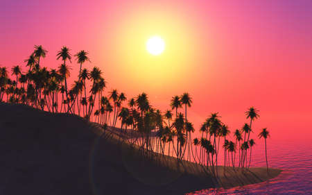 3D render of a tropical background with palm tree islandの写真素材