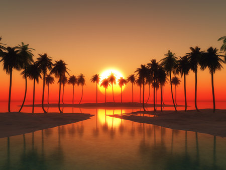 3D render of a palm tree landscape against a sunset skyの写真素材