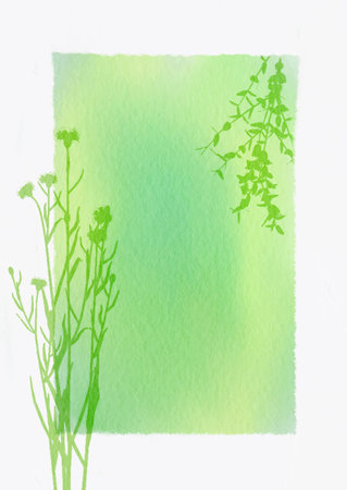 Decorative watercolour background with floral designの写真素材