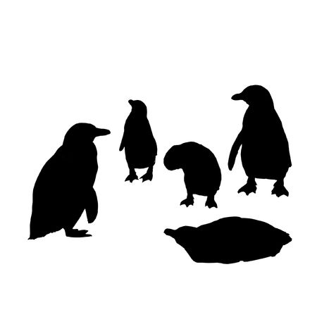 Penguin Group in Silhouetteの写真素材