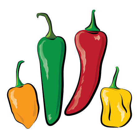 illustration of four hot peppersのイラスト素材