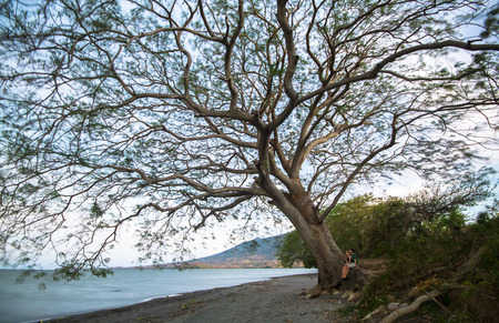 A large tree hangs over Lake Colcibolca on Ometepe, Nicaragua, as two people sit underneath it at dusk.の写真素材