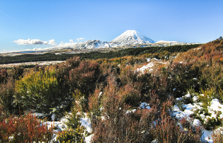 Mt. Ngauruhoe (Mt. Doom in the Lord of the Rings movies) dominates the landscape in this part of the Tongariro National Park, New Zealand.の写真素材