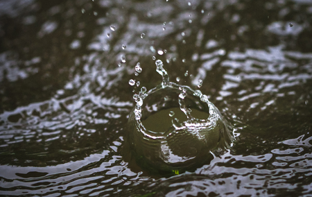 A water droplet falls on a pond during heavy rains in Costa Rica.の写真素材