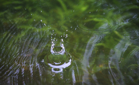 A water droplet falls on a pond during heavy rains in Costa Rica.の写真素材