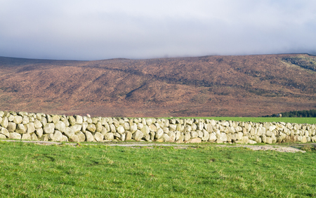 Green grassy pastures for sheep grazing and characteristic stone walls on Slieve Binnian in the Mourne Mountains in Northern Ireland, UK.の写真素材