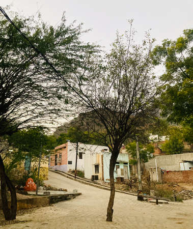 A vertical shot of a tree in the middle of a deserted streetの写真素材
