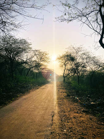 Sunset in the countryside.の写真素材