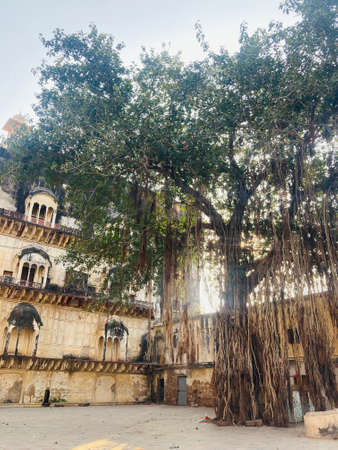 The courtyard of the Jain temple in Jaipur, Rajasthan, Indiaの写真素材