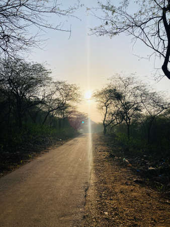 Dirt road in the forest with sunbeams passing through.の写真素材