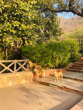 Beautiful view of the outdoor area in the mountains.の写真素材