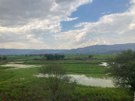 Landscape view of a green field and mountains in the background.の写真素材