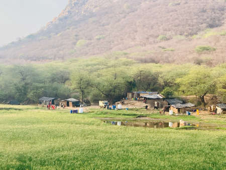 Village in the middle of a rice field with mountains in the backgroundの写真素材