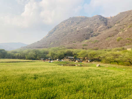 Landscape view of green fields and mountains on sunny day.の写真素材